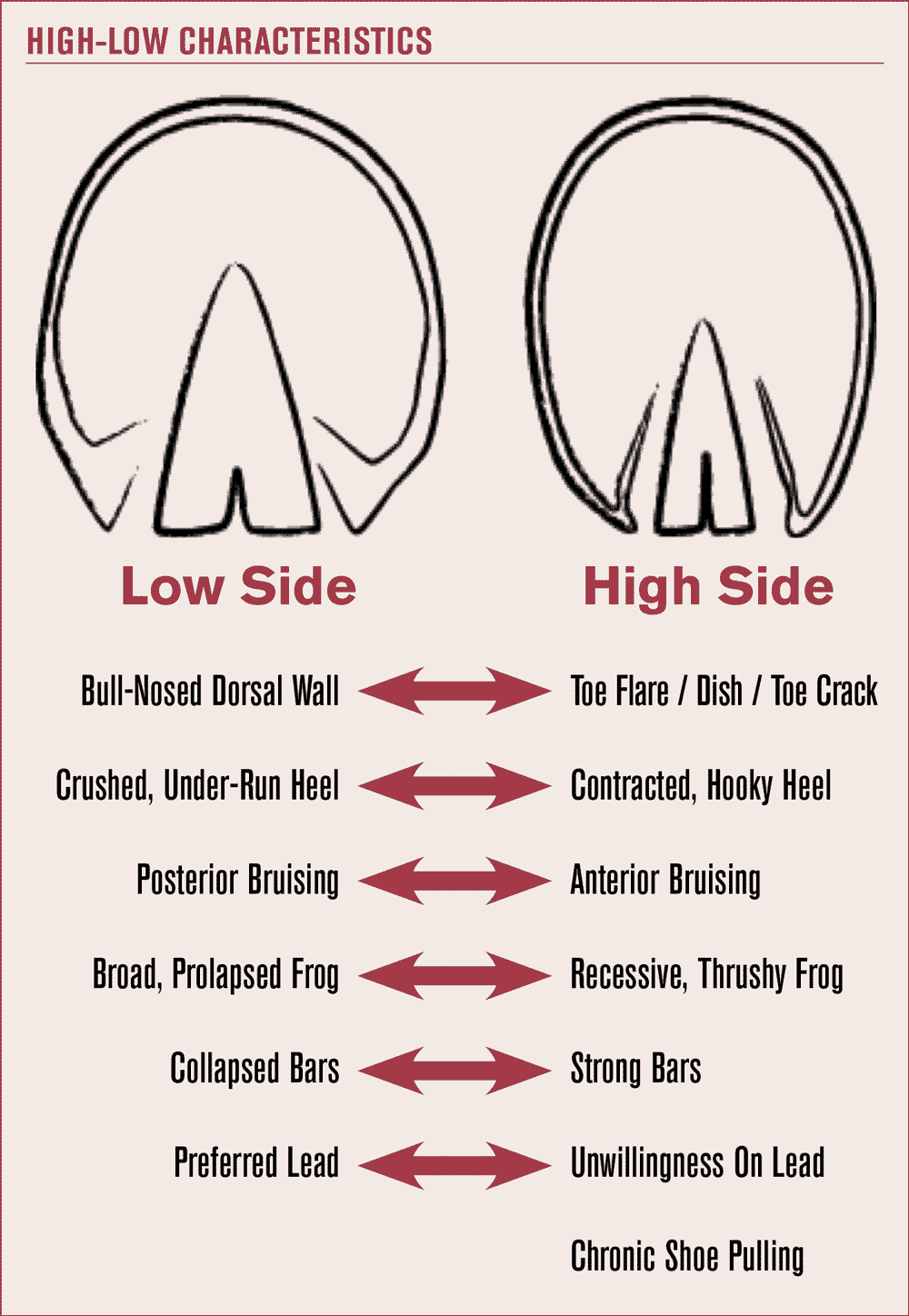 Trimming and Shoeing Strategies for High-Low Feet