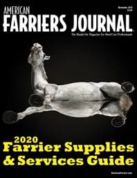 Cover_AFJ_1119_pub.jpg