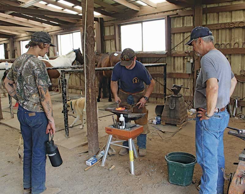 Six Vital Things Students Must Learn in Horseshoeing School