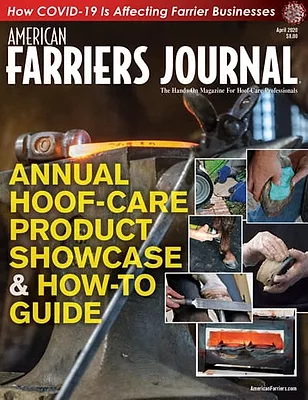 Cover_AFJ_0420_web.jpg