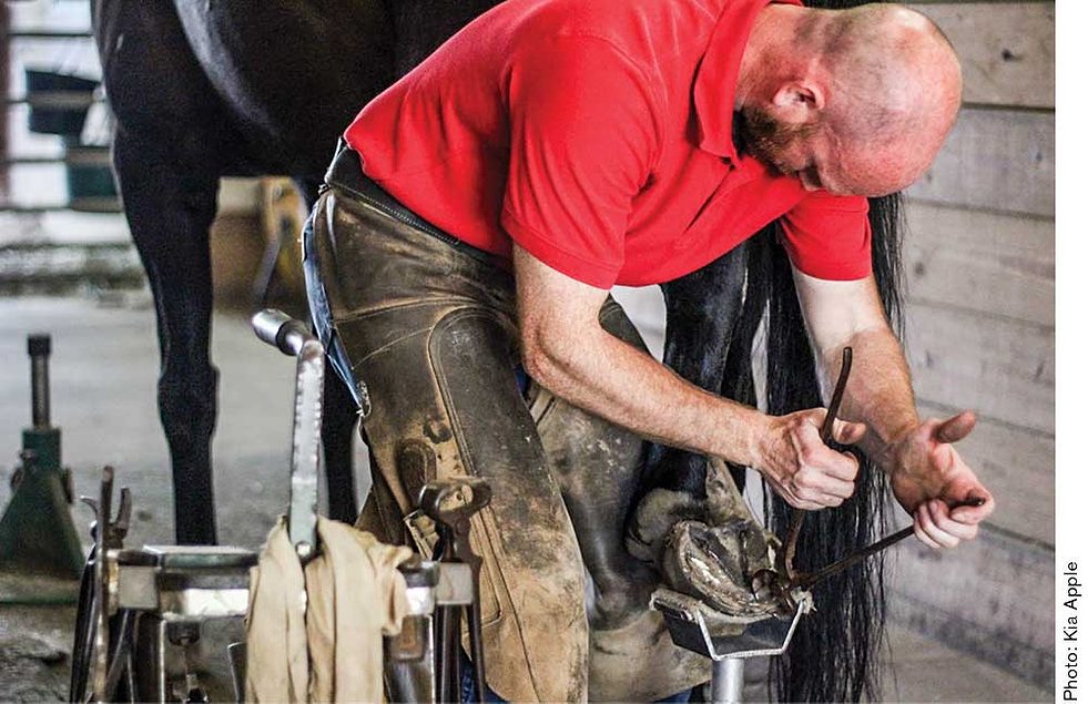 Biosecurity Protocols Limit Disruptions for Indiana Farrier During
