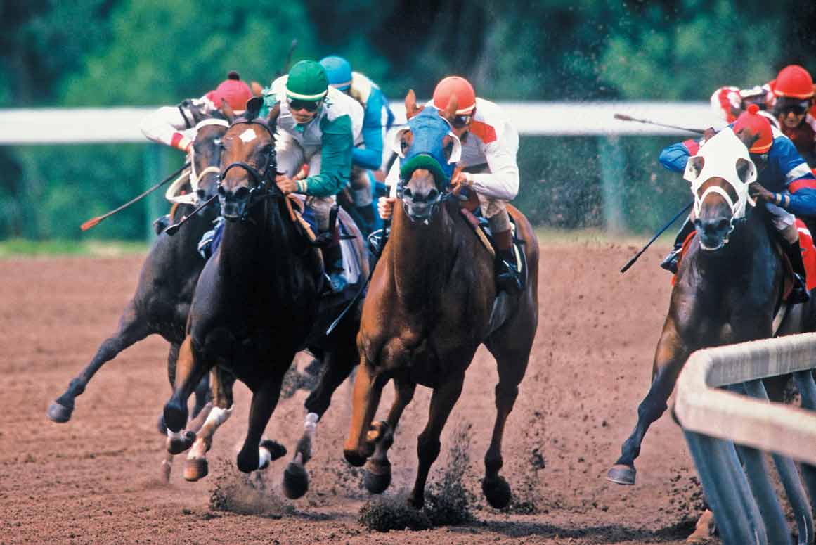 Race_Horses_turn.jpg