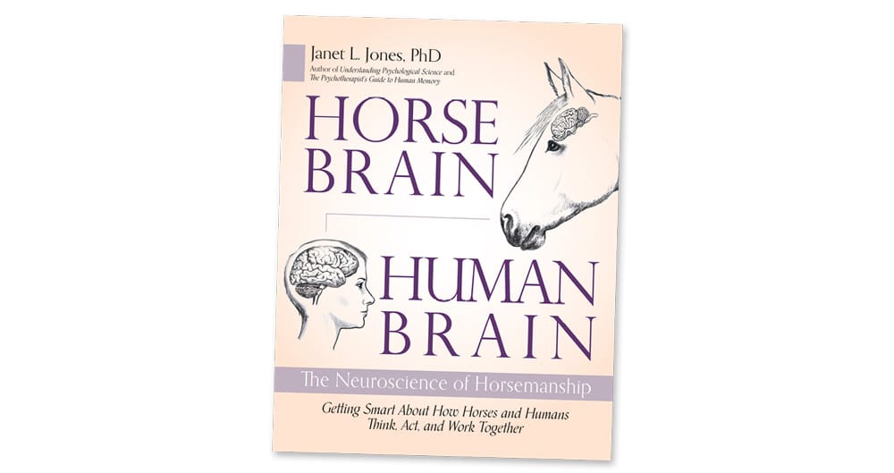Horse_Brain_Human_Brain.jpg