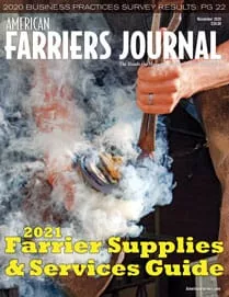 Nov_AFJ_1120_pub.jpg