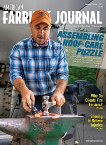Cover_AFJ_0121_pub.jpg