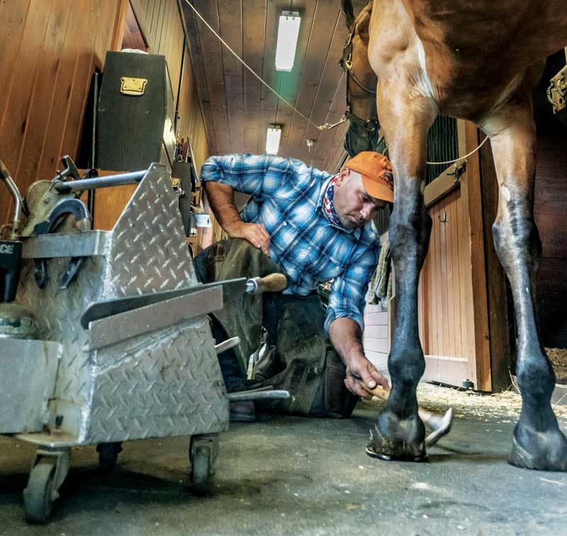Should You Pull Horseshoes for Winter? - Pro Equine Grooms