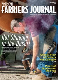 Cover_AFJ_0521_pub.jpg