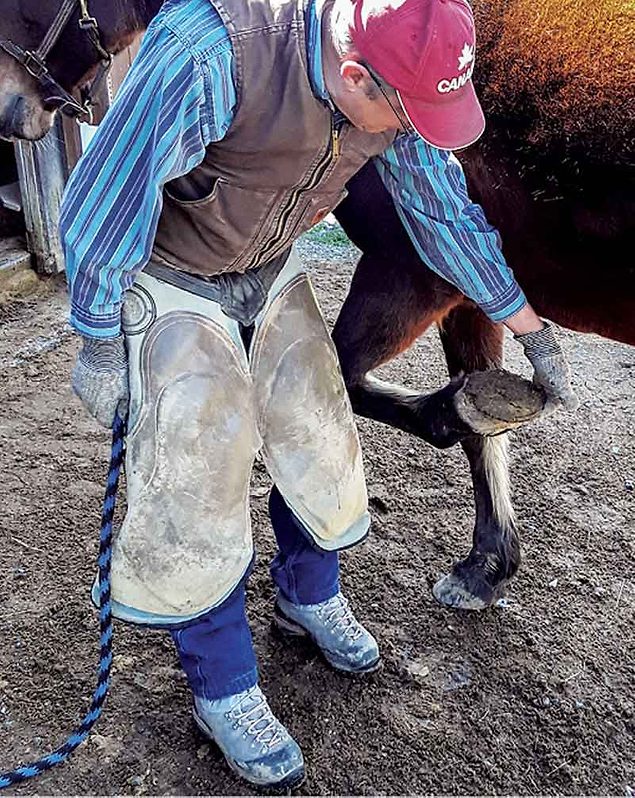 Set the horse and farrier up for success