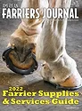 Cover_AFJ_1121_web.jpg