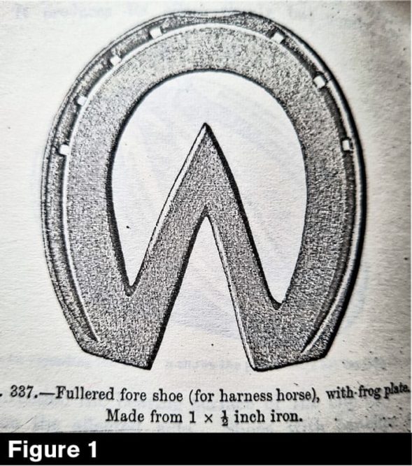 Heart Bar Horse Shoe Picture taken from Dollar and Wheatly Handbook of Horseshoeing 1898.