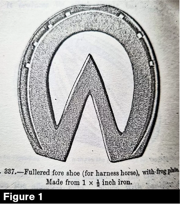 Heart Bar Horse Shoe Picture taken from Dollar and Wheatly Handbook of Horseshoeing 1898.