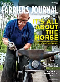 Cover_AFJ_0522_pub.jpg