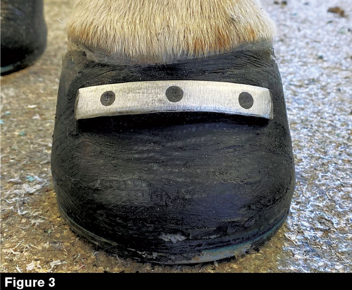 Hoofwall-Burns-Fig-3.jpg