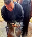 Vet-Report-Chris-Penola.jpg