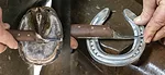 Measure-a-Horses-Foot-with-a-Hoof-Knife.jpg