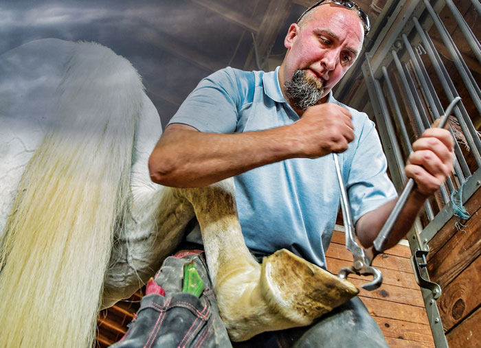 Michigan Farrier Helps Horses Weather the Climate Extremes