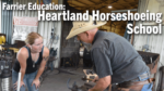 Farrier-Education--Heartland-Horseshoeing-School.png