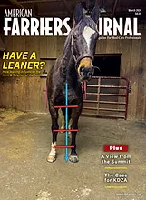 Cover_AFJ_0324.jpg