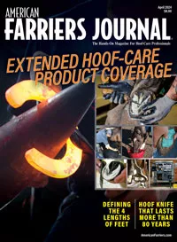 Cover_AFJ_0424.jpg