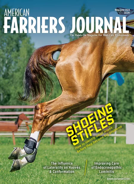 Cover_AFJ_0524.jpg