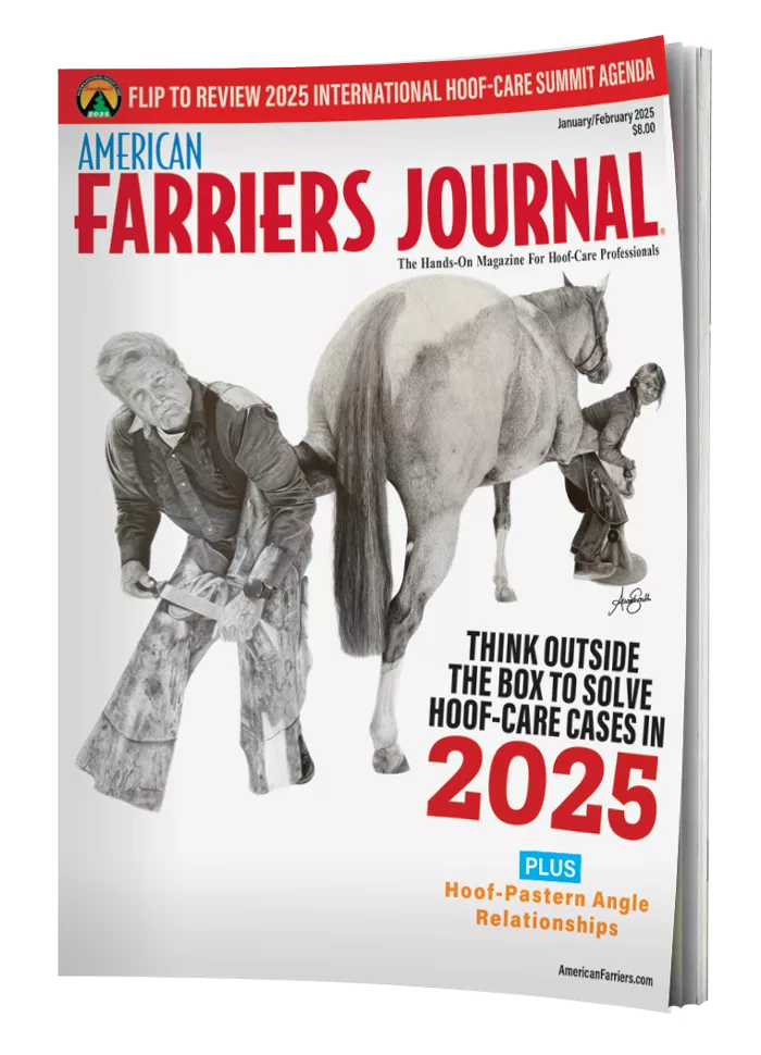 Cover_AFJ_0125_BookWithPages.png