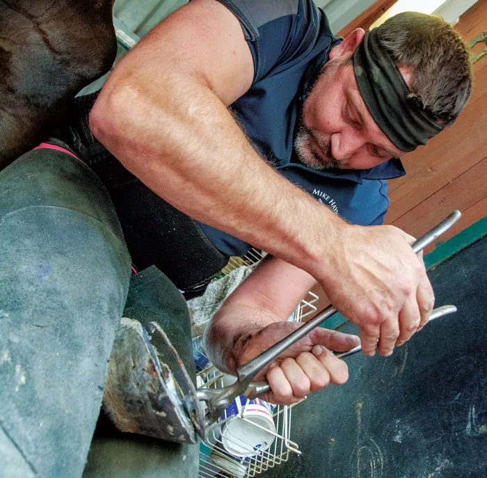 Shoeing-for-a-Living-Mike-Hayward-art.jpg
