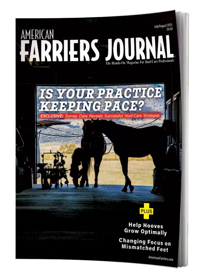 COVER_AFJ_0725_BookWithPages_Curl_art.png