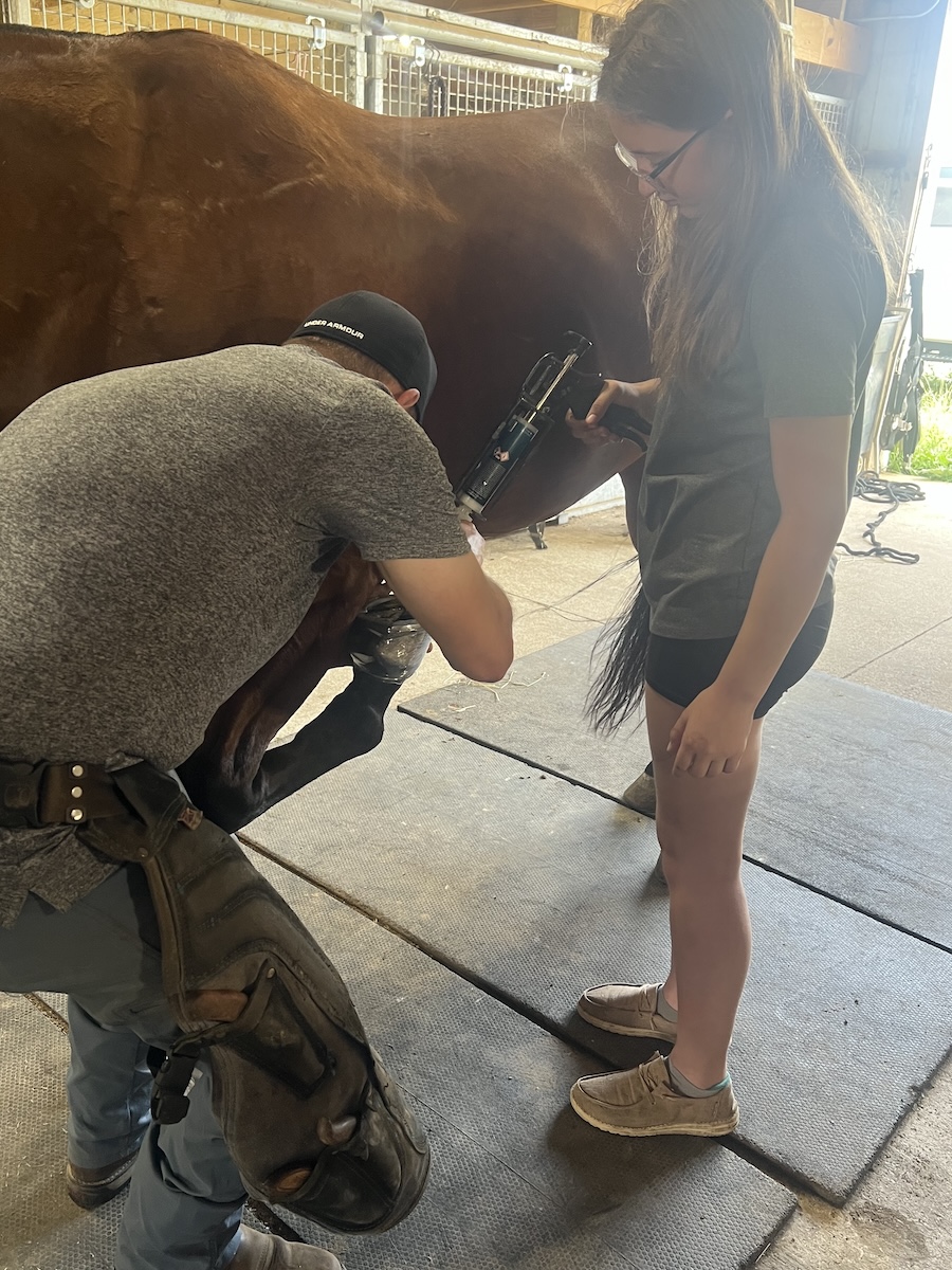 David Mast Farriers Week