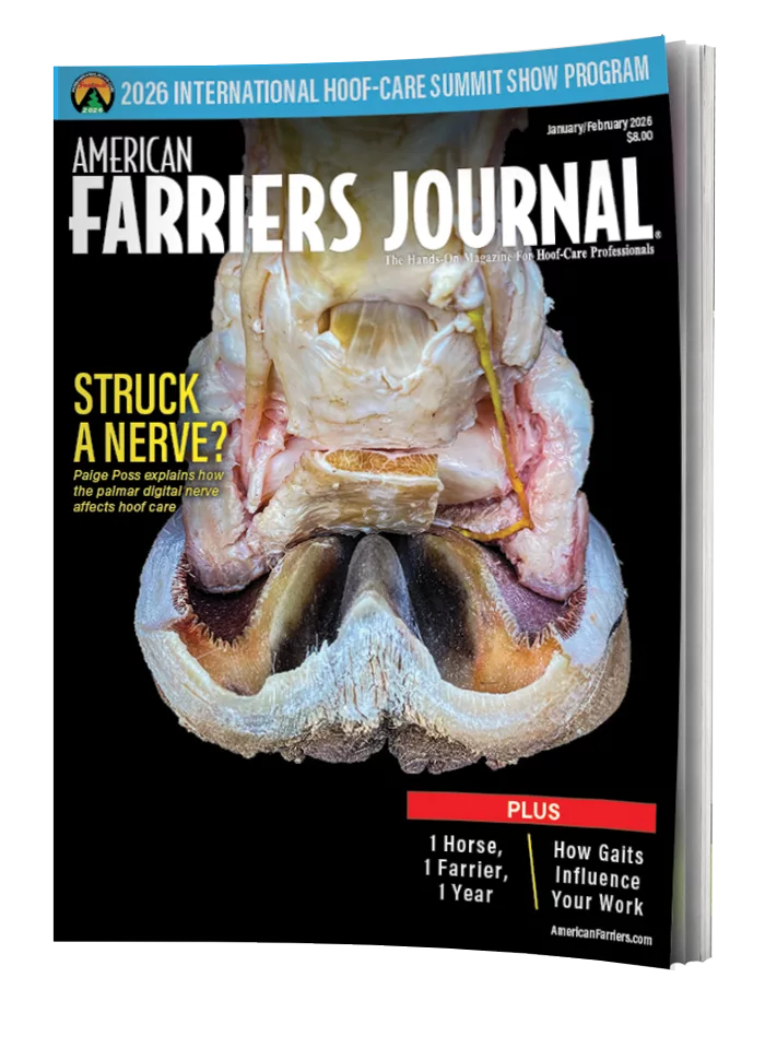 Cover_AFJ_0126_wPages.png