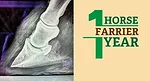 Radiographic-Findings-&-a-Simplified-Reset-Art.jpg