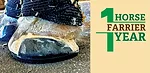 1-Horse-1-Farrier-1-Year_Art–0426.jpg