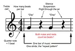 Trot and Pseudo-Trot-Effects on the Hoof-FIG 1.jpg