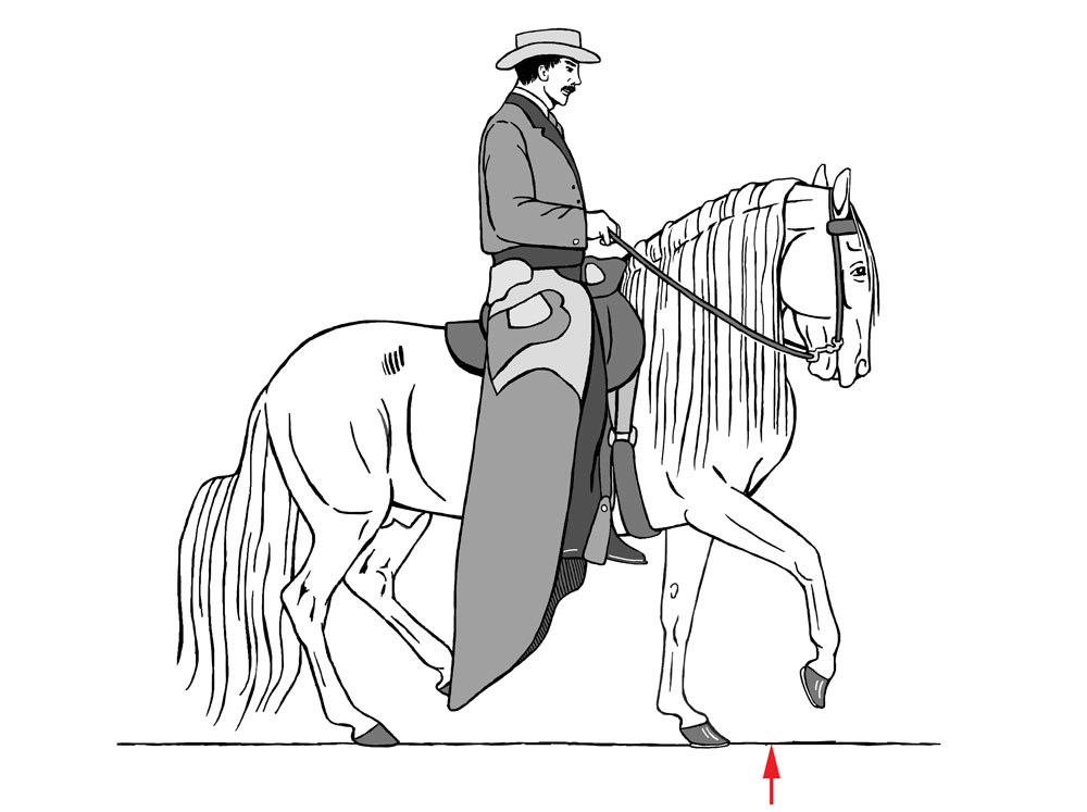 Trot-and-Pseudo-Trot-Effects-on-the-Hoof-FIG-10.jpg