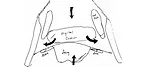 Identifying-Lameness-with-Frog-Pads-&-Plates_Art.jpg