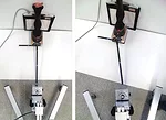 Using-Radiographs-to-Evaluate-Hoof-Conformation-3.jpg