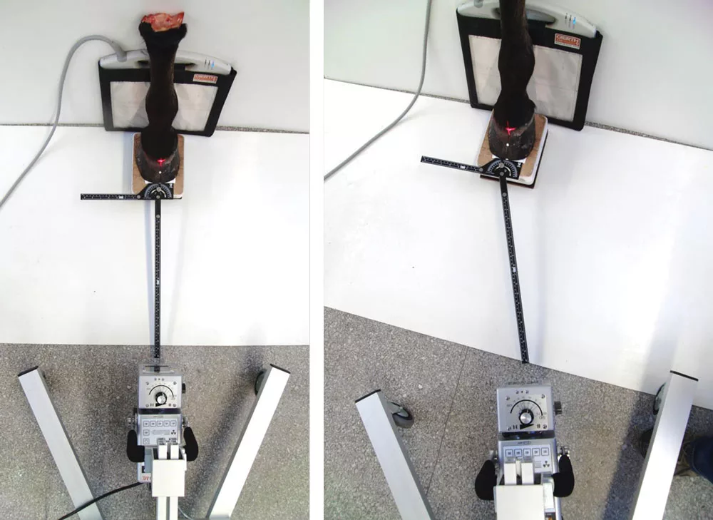 Using-Radiographs-to-Evaluate-Hoof-Conformation-3.jpg