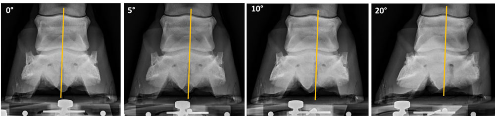 Using-Radiographs-to-Evaluate-Hoof-Conformation-5a.jpg