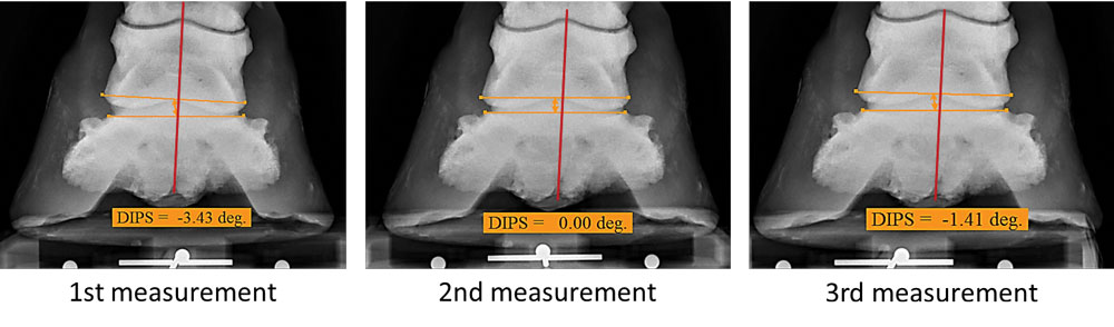 Using-Radiographs-to-Evaluate-Hoof-Conformation-9.jpg