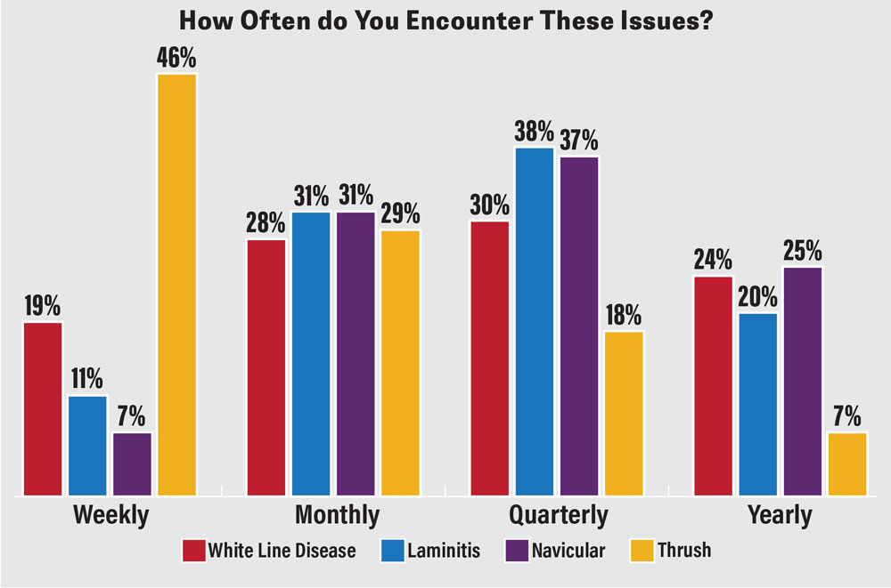 How-Often-do-You-Encounter-These-Issues.jpg
