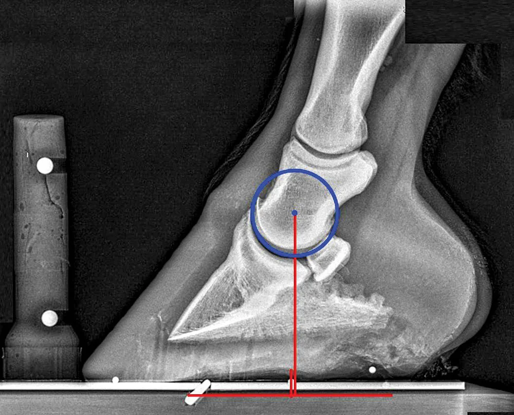 Optimizing Biomechanical Shoe Adjustment_Art.jpg