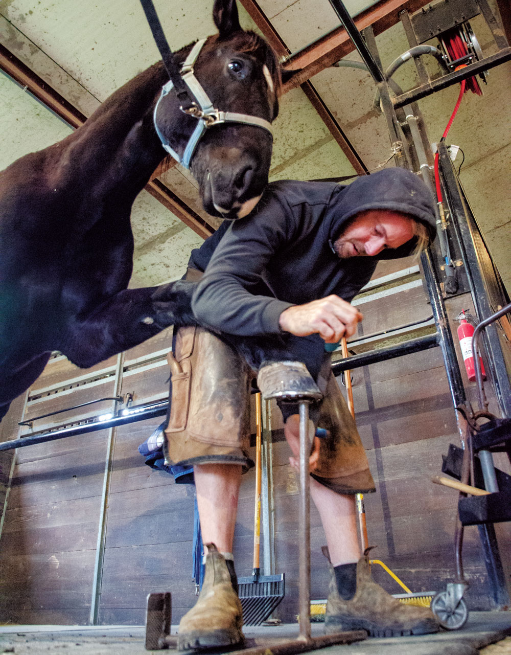 Shoeing-for-a-Living-Greg-Martin-3.jpg