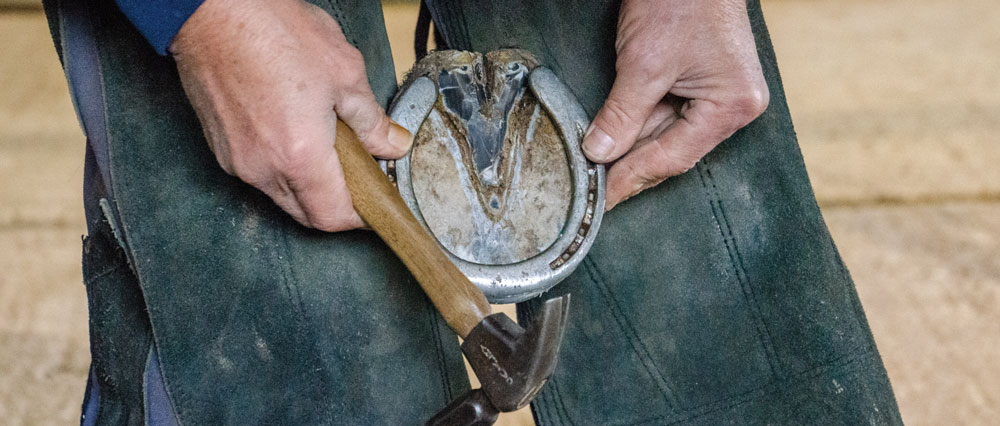Shoeing-for-a-Living-Greg-Martin-7.jpg