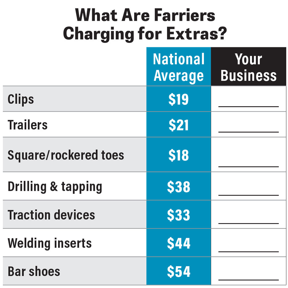 What-Are-Farriers-Charging-for-Extras.jpg