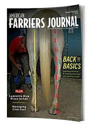 AFJ_0926_BookWithPages_Curl_art.png