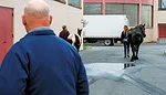 Assessing-the-Horse-for-Success-1.jpg