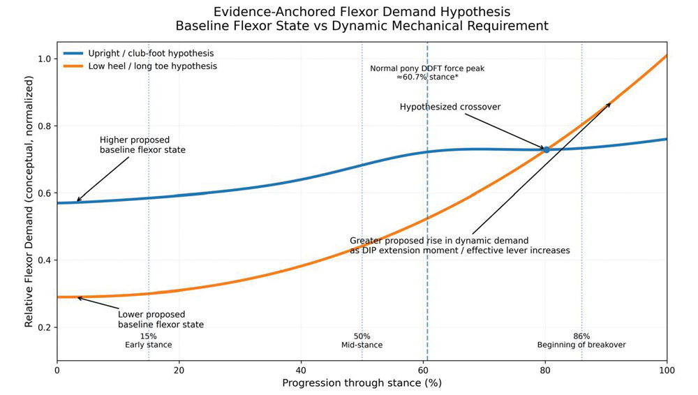 Flexor-Demand-in-the-Equine-Distal-Limb_Fig-5.jpg