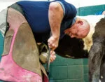 Cornell-Farrier-Conference.jpg