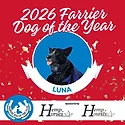 Luna 2026 Farrier Dog of the Year Winner Announcement Email Image.png