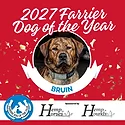 2027 Farrier Dog of the Year Winner .png