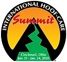 IHCS2020 Logo